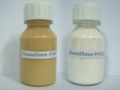 Nicosulfuron