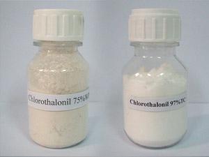 Chlorothalonil